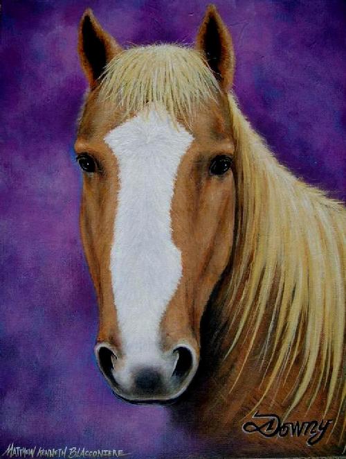 horse potraits, fine art painting, matthew kenneth blacconiere