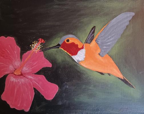 #HUMMINGBIRDpainting #painteventimage #makingthingsinteresting #matthewblacconiere #birdpainting #orangehummingbird